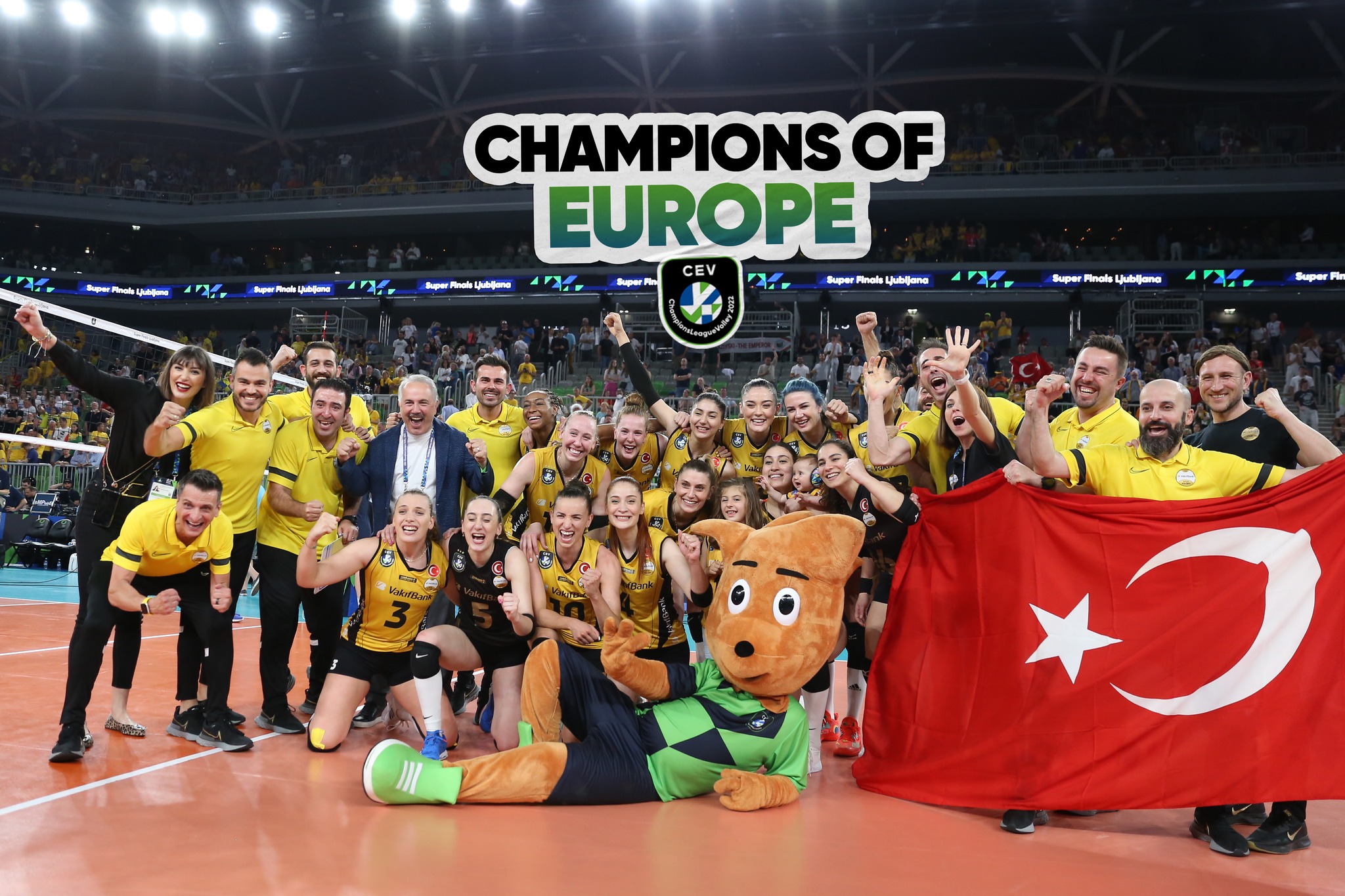 281553585 7479817462091775 4370708662677808678 n