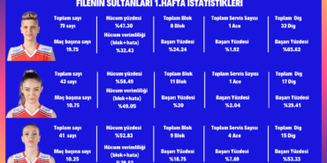 Video ölçüleri 4
