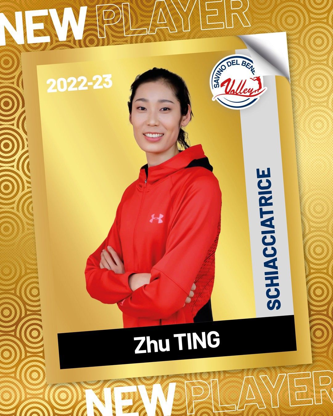 Zhu Ting
