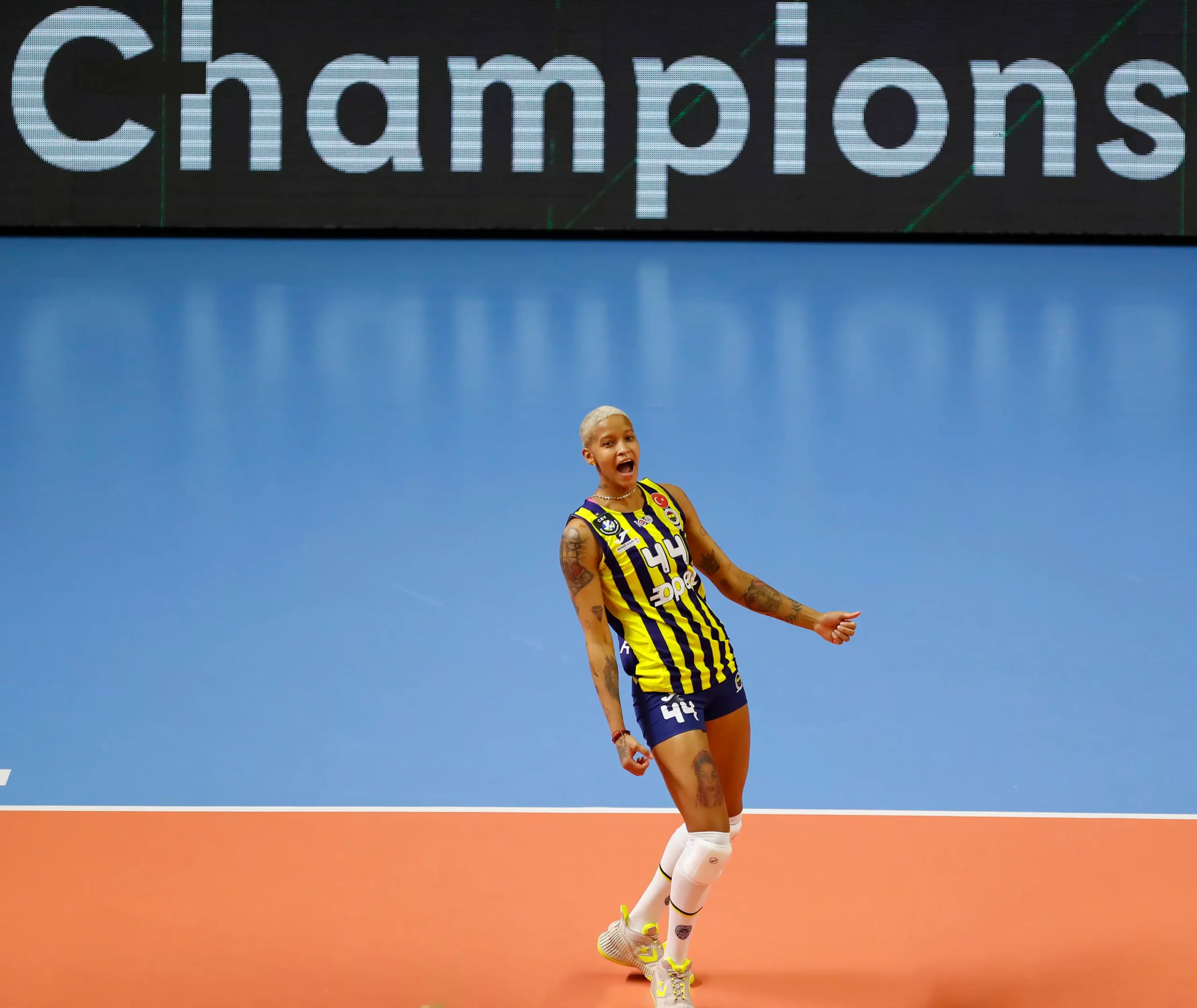 Fenerbahçe Opet Stuttgart