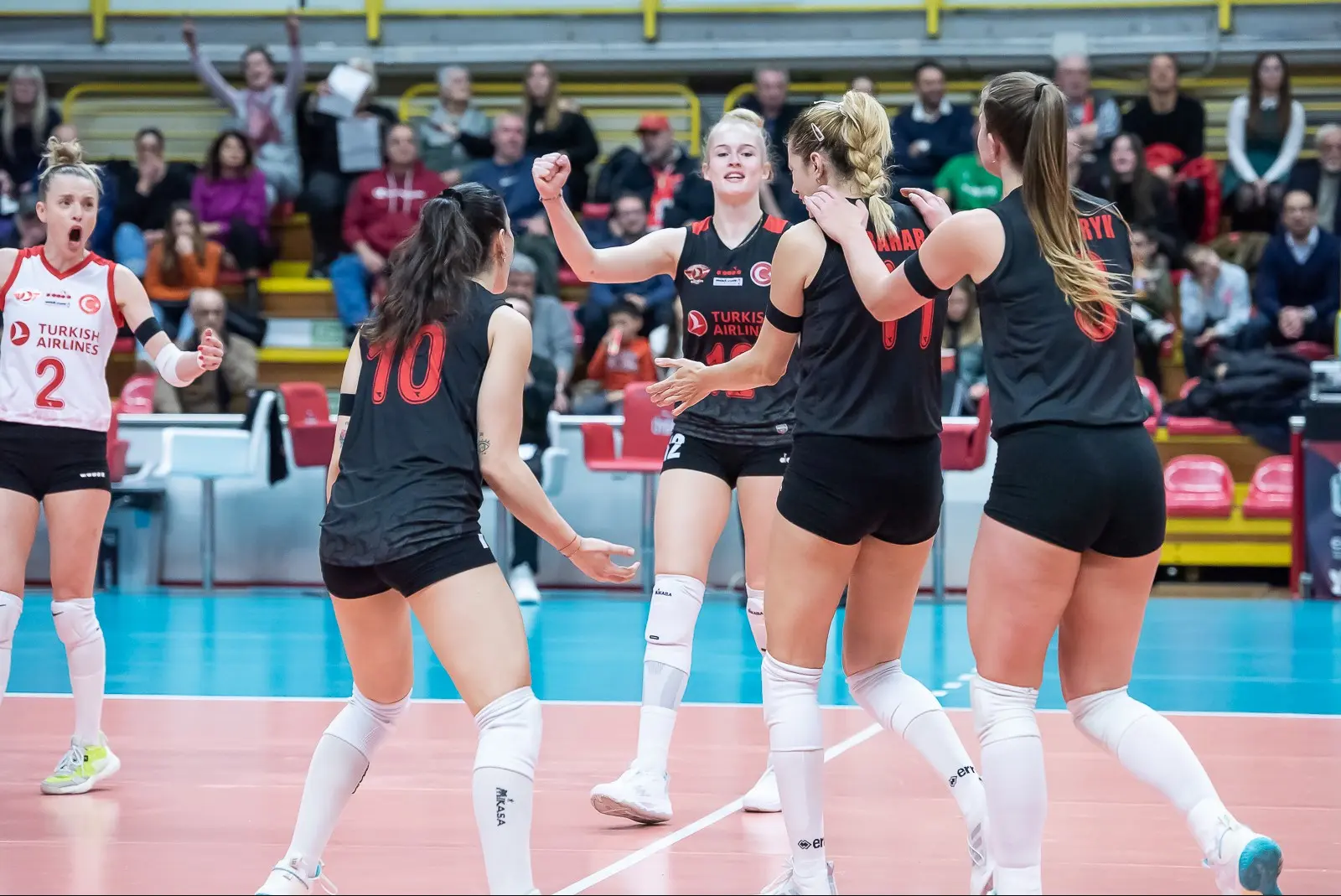 Türk Hava Yolları 3-0 e-work Busto Arsizio