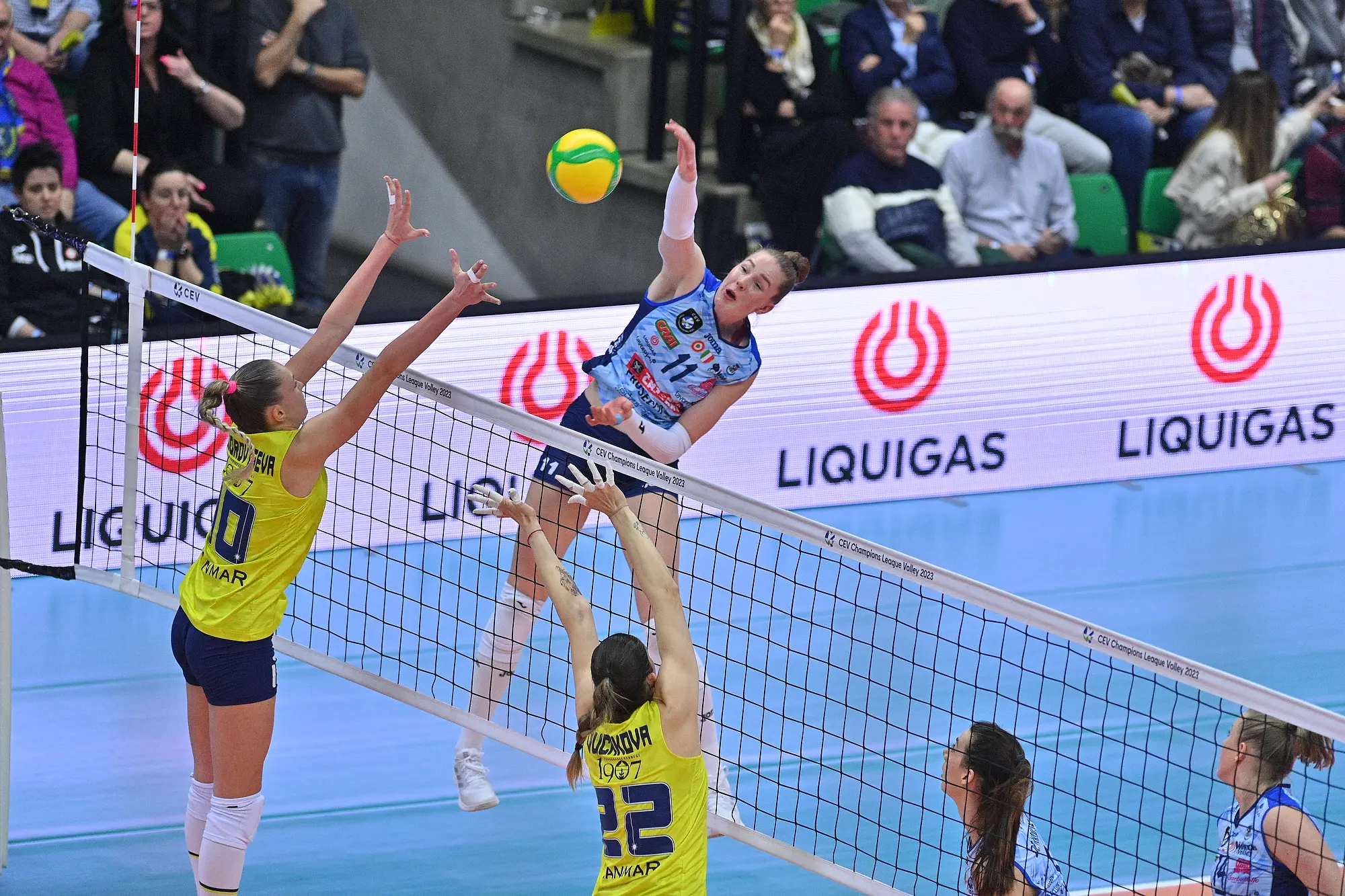 Fenerbahçe Opet 23.03.2023