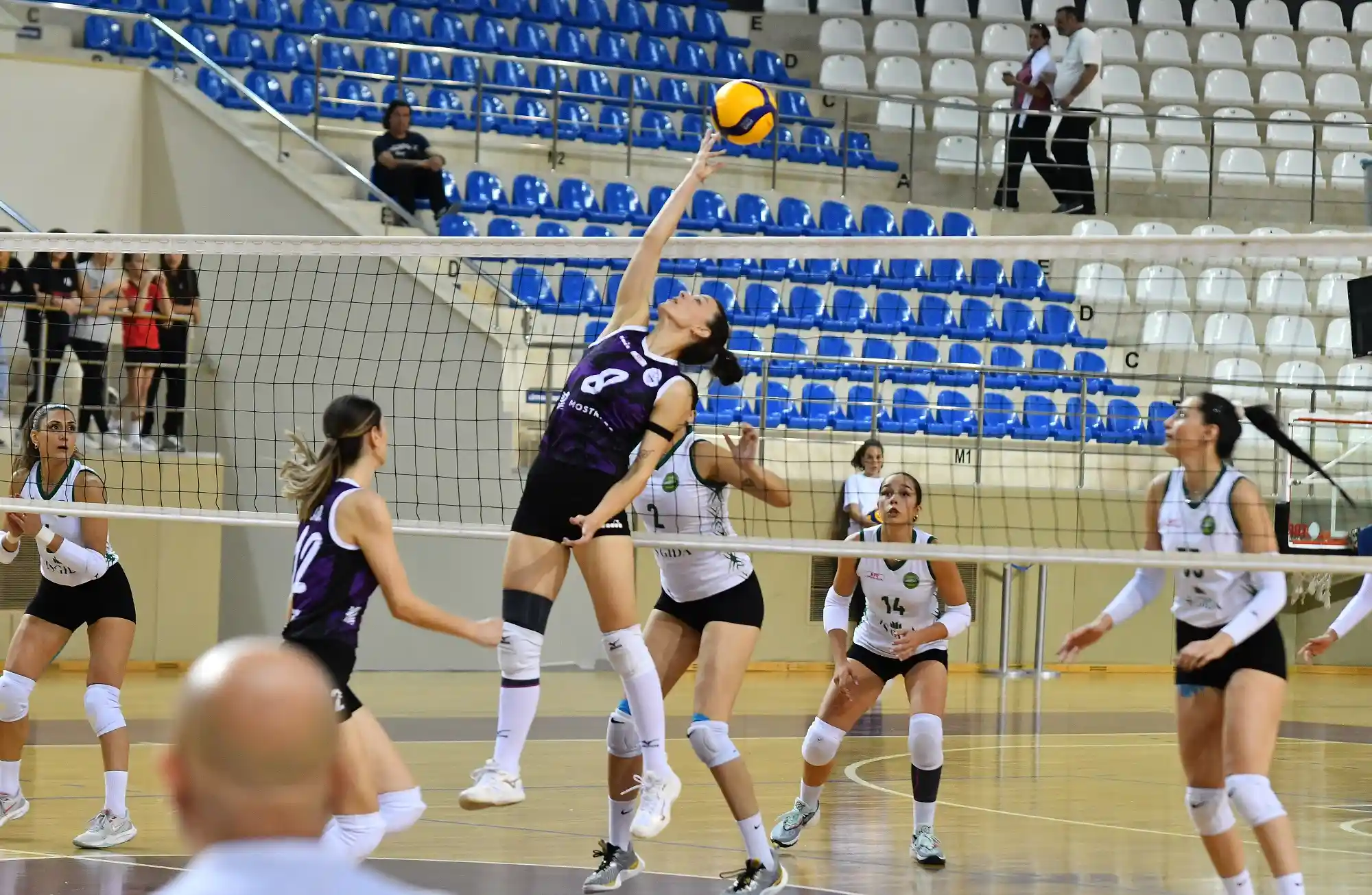 voleybol kadınlar 1. Lig 2023-2024