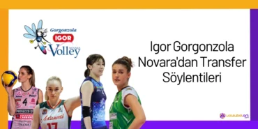 Igor Gorgonzola Novaradan Transfer Soylentileri2024