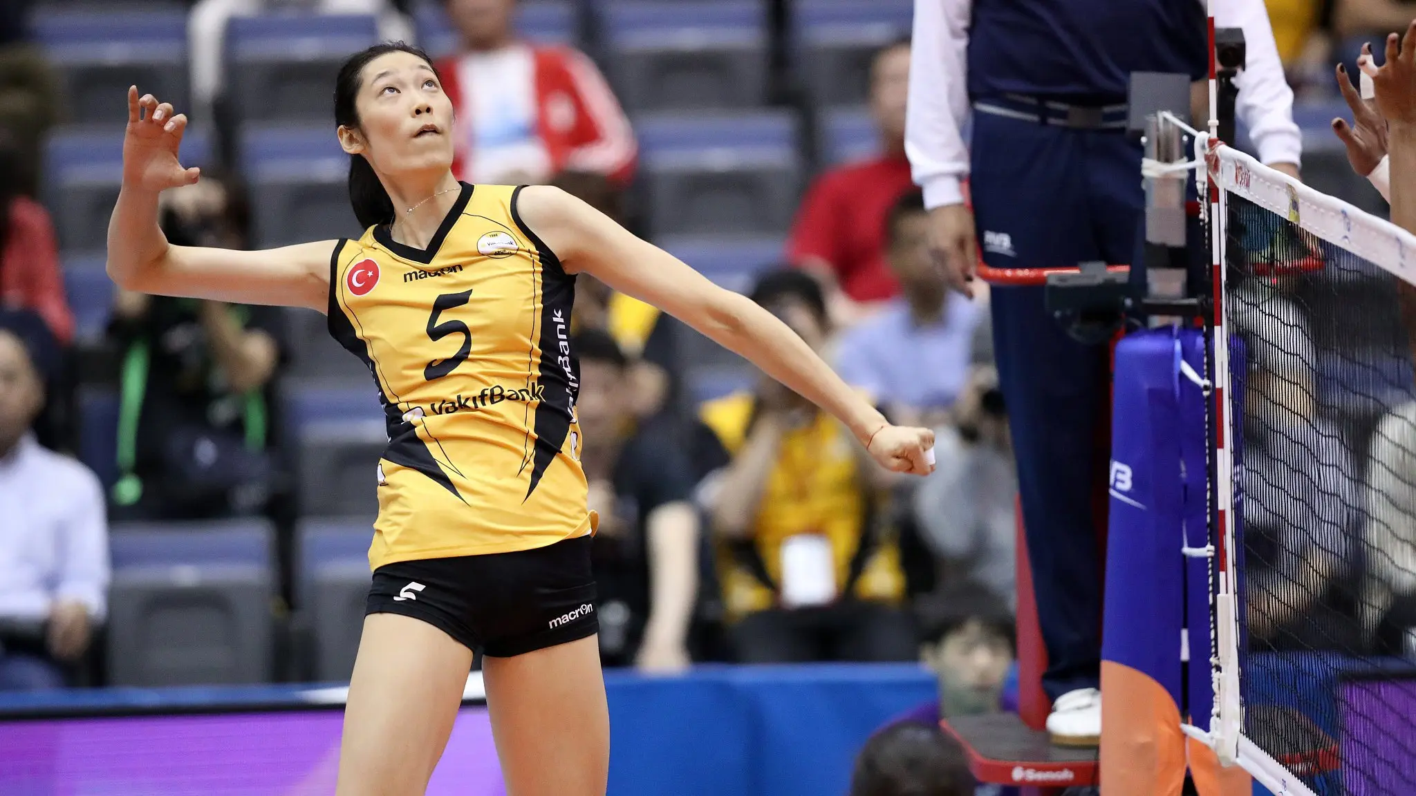 Imoco'dan Zhu Ting Hamlesi2