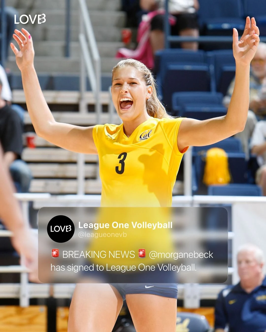 ABD'nin Yeni Profesyonel Ligi LOVB'de Beş Yeni İsim4