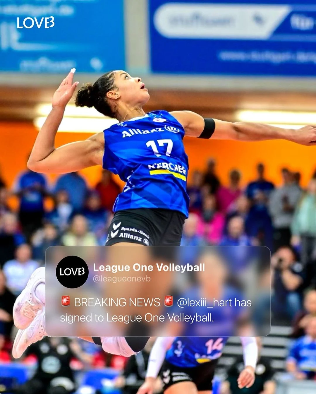 LOVB'de Üç Yeni İsim Alexis Hart, McKenzie Adams ve Serena Gray1