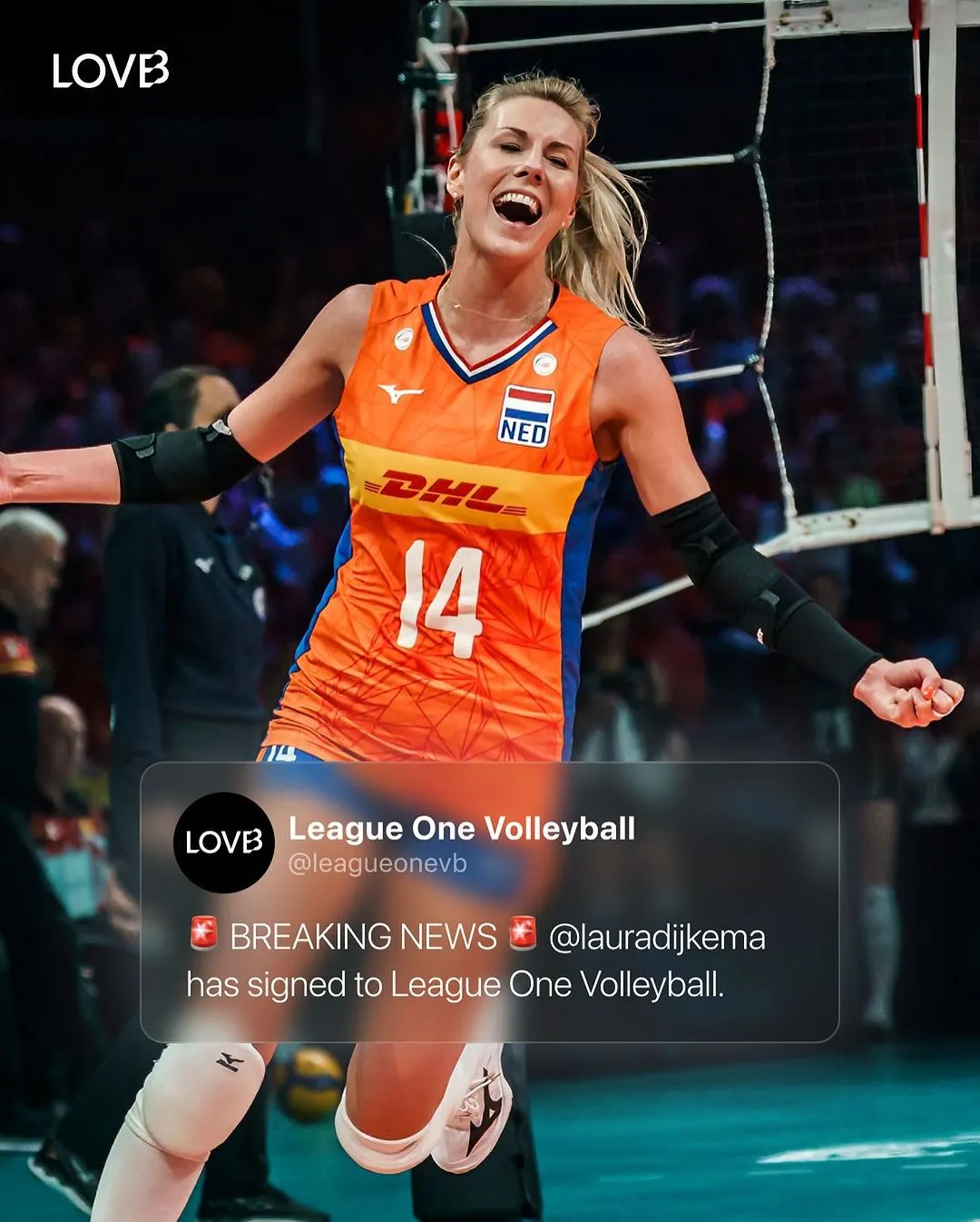 LOVB'den Beş Yeni Transfer Haberi4