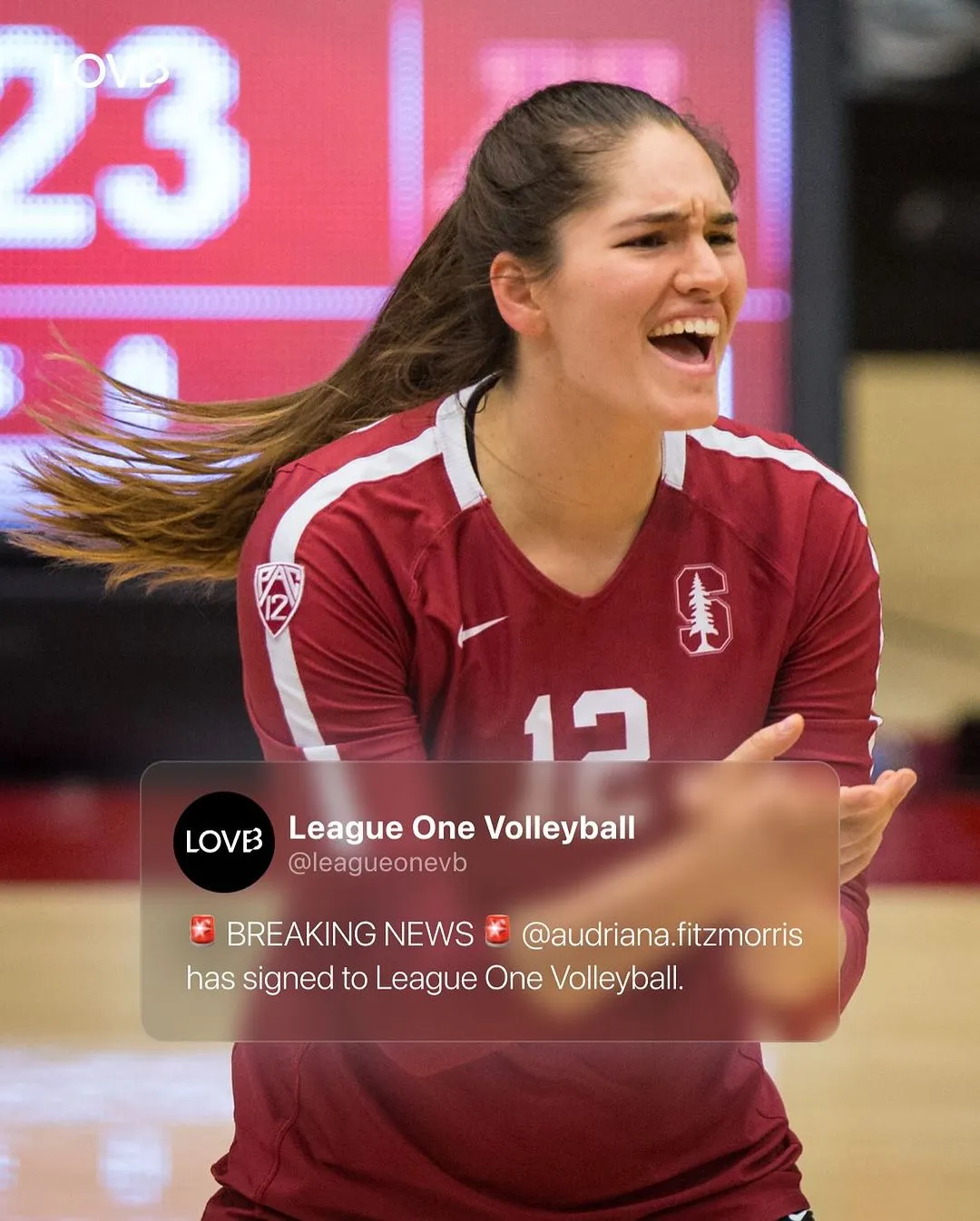 ABD'nin Yeni Profesyonel Ligi LOVB'de Dört Yeni İsim2